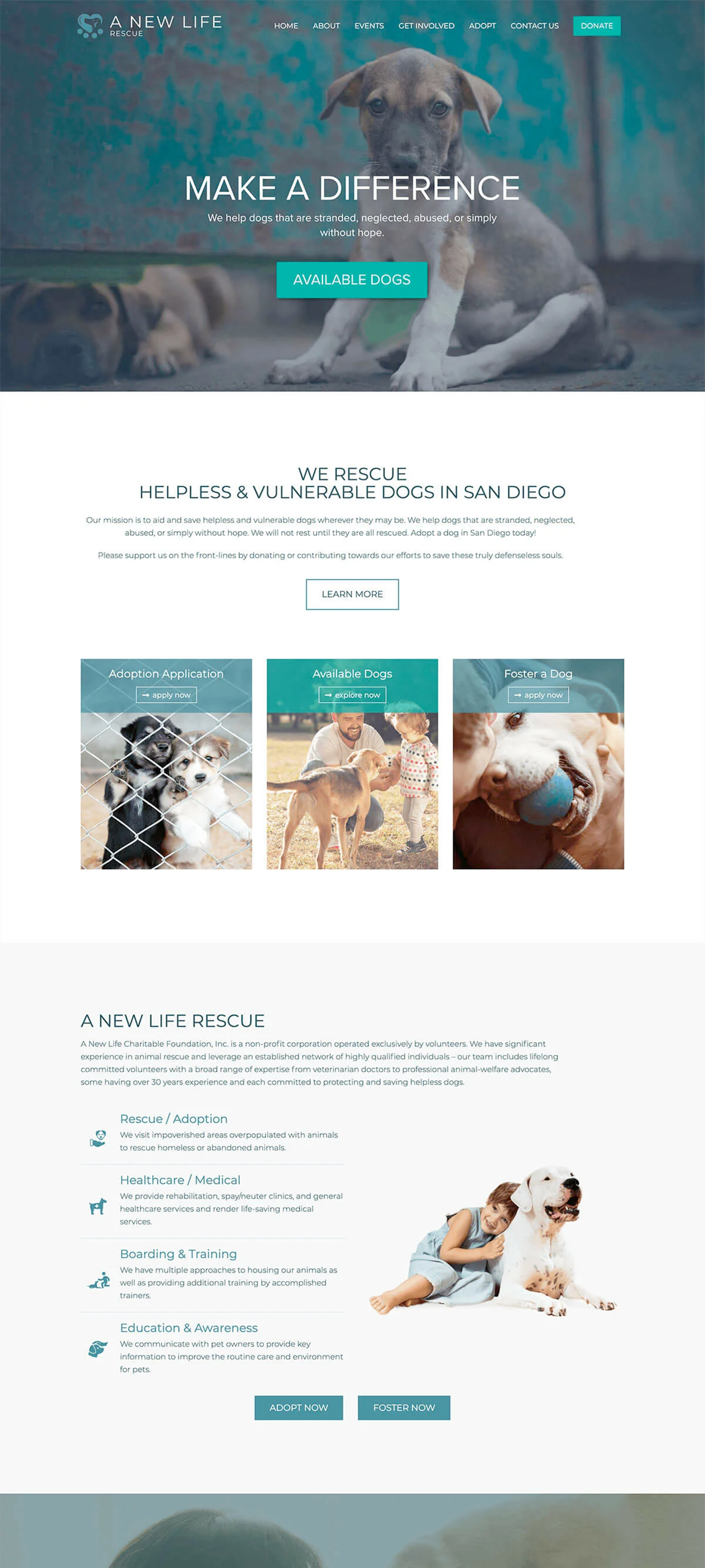 ANLCF Website Design and Development, Dallas TX