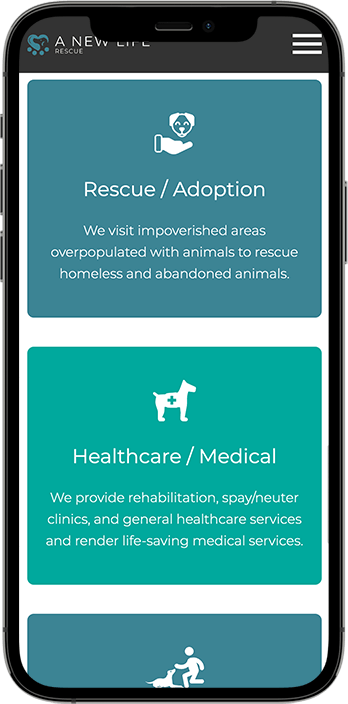 Non-Profit Website Design Dallas: A Case Study on Driving Adoption and Donations