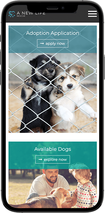 Non-Profit Website Design Dallas: A Case Study on Driving Adoption and Donations