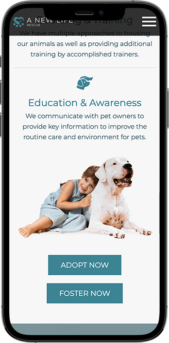 Non-Profit Website Design Dallas: A Case Study on Driving Adoption and Donations
