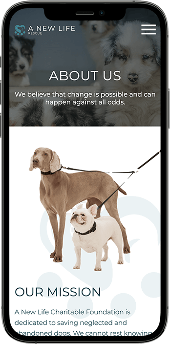 Non-Profit Website Design Dallas: A Case Study on Driving Adoption and Donations