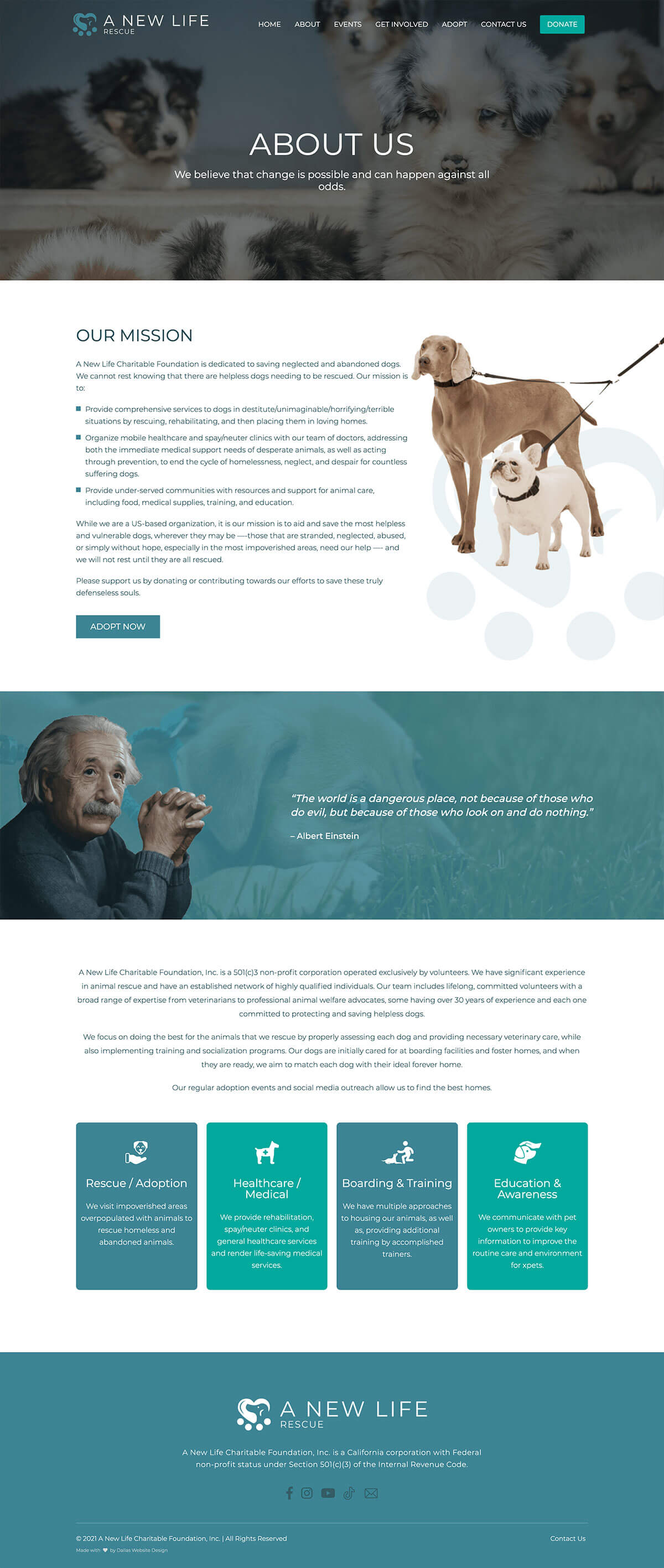 Non-Profit Website Design Dallas: A Case Study on Driving Adoption and Donations