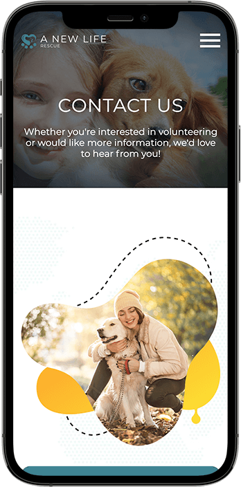 Non-Profit Website Design Dallas: A Case Study on Driving Adoption and Donations