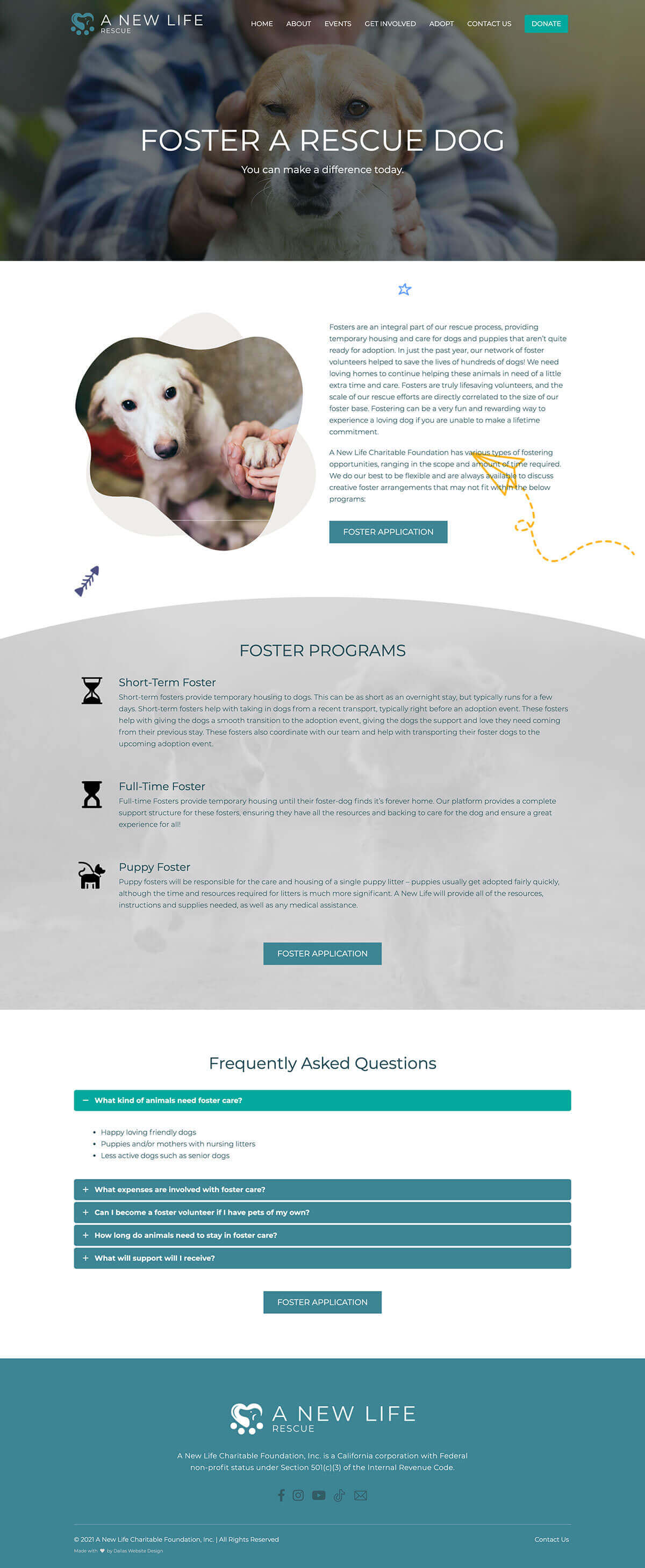 Non-Profit Website Design Dallas: A Case Study on Driving Adoption and Donations