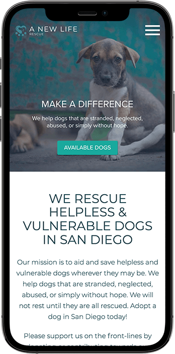 Non-Profit Website Design Dallas: A Case Study on Driving Adoption and Donations