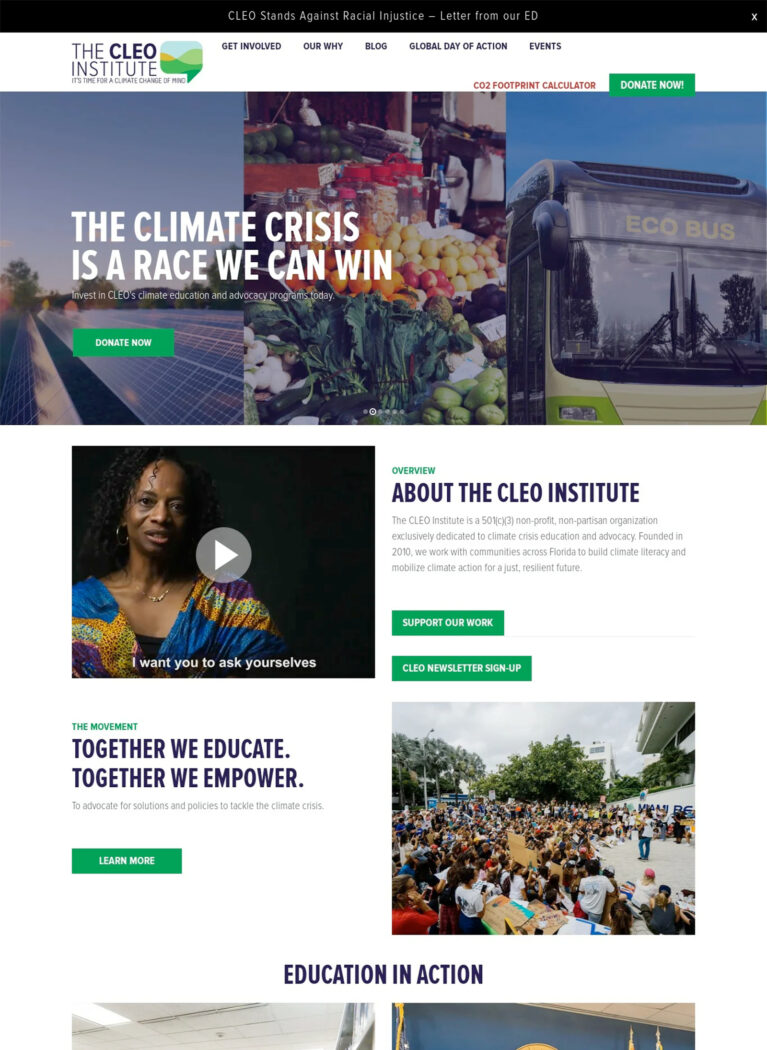The CLEO Institute