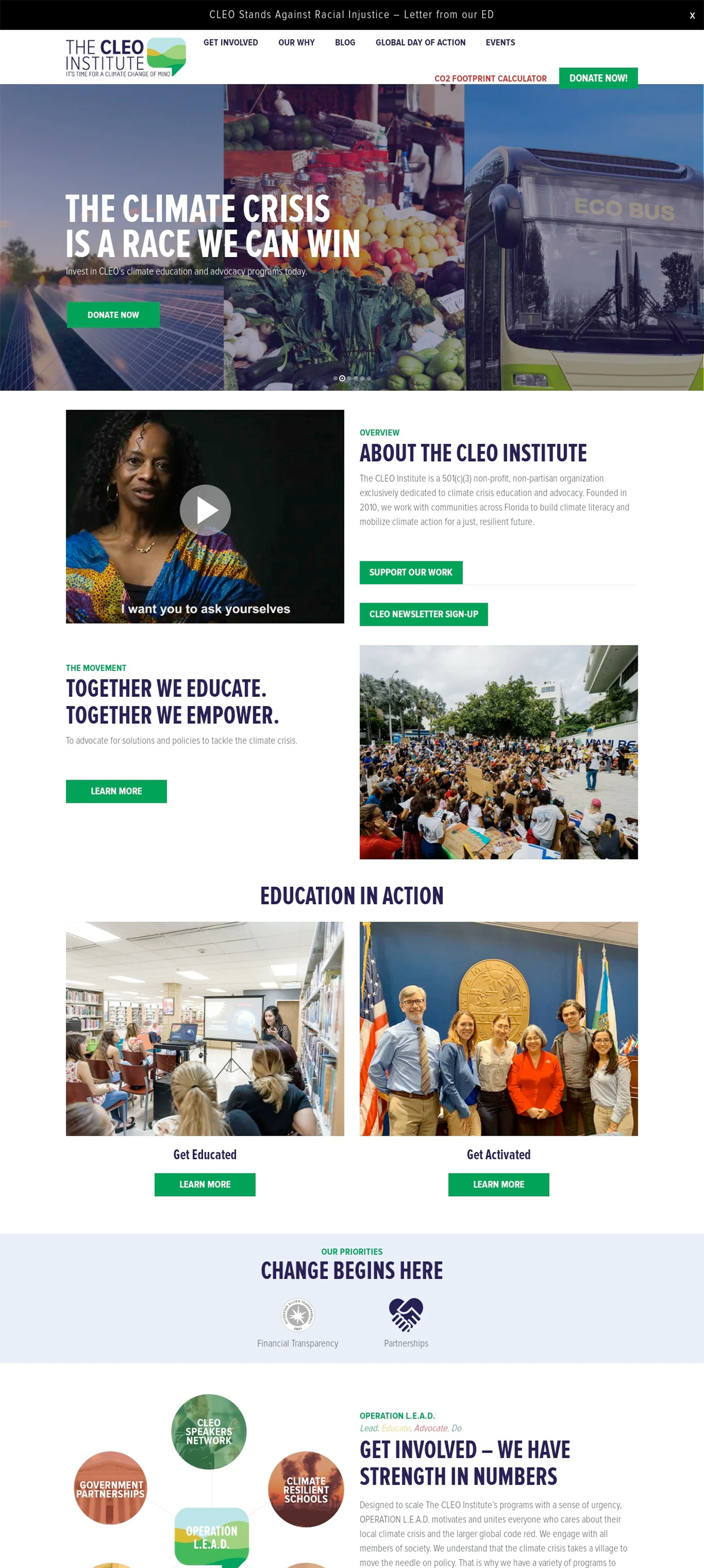 The CLEO Institute