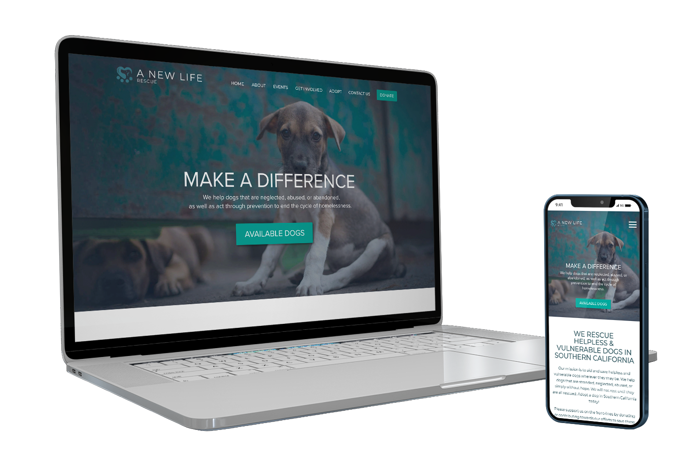 ANLCF Website Design and Development, Dallas TX
