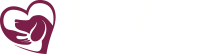 Betz Dog Training Website Design and Development, Dallas TX