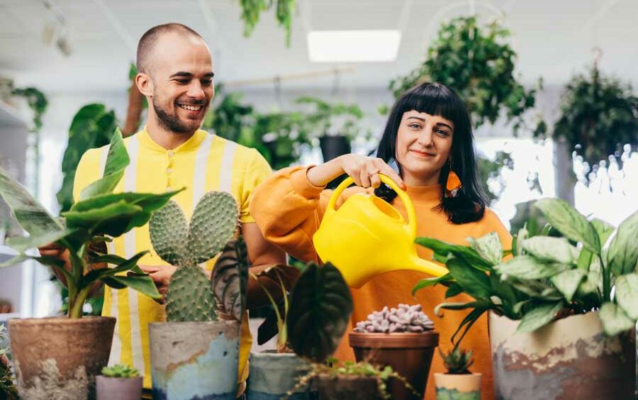 How Dallas Arboretum Digital Marketing Attracts and Engages Visitors