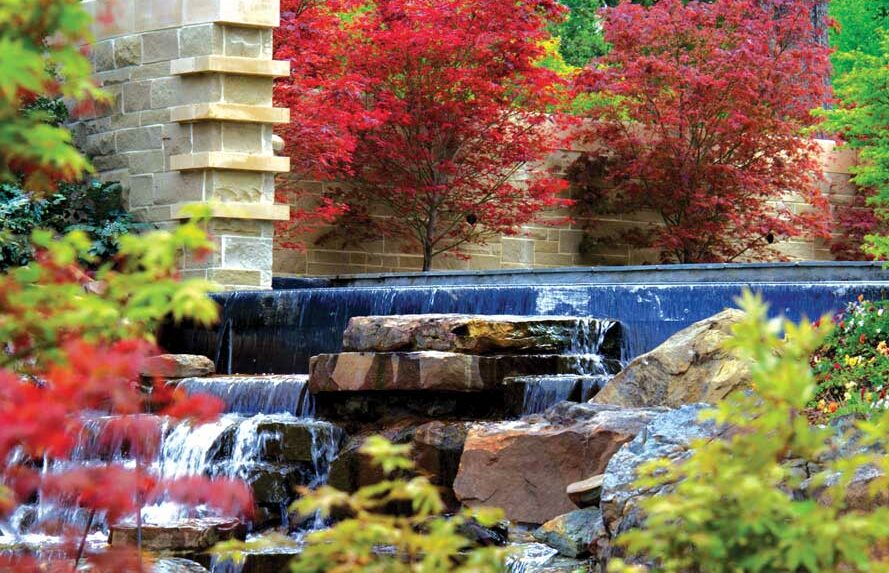 Digital Marketing Strategies for the Dallas Arboretum